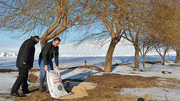 Konya'da yaban hayvanları unutulmadı