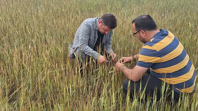 Konya'da yağış ve selden tarım alanlarında hasar tespit çalışmaları devam ediyor
