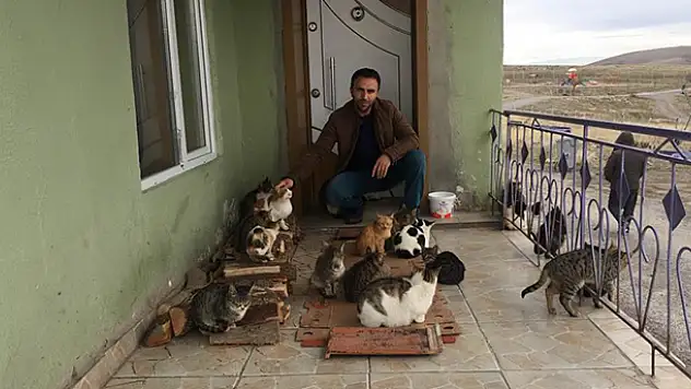 Konya'da yaklaşık 30 kedi besleyen imam: 'Biz onlara baktıkça huzur bulduk'