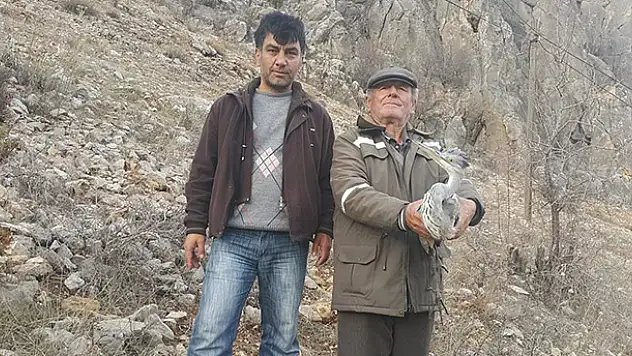 Konya'da yaralı balıkçıla vatandaşlar sahip çıktı