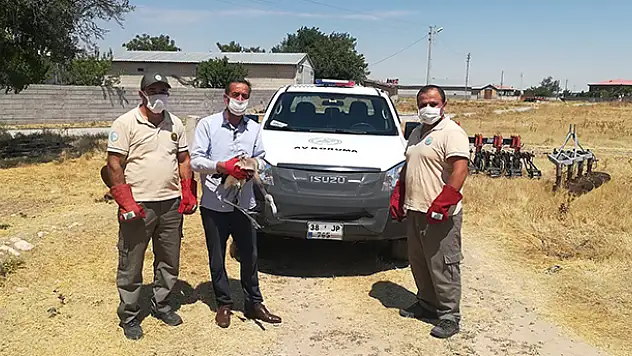 Konya'da yaralı flamingo koruma altına alındı