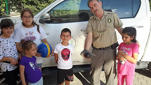 Konya'da yaralı güvercin koruma altına alındı