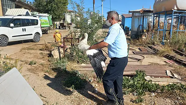 Konya'da yaralı halde bulunan leylek tedaviye alındı
