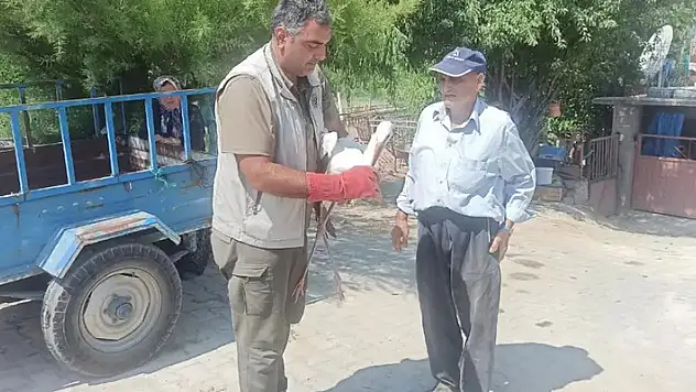 Konya'da yaralı halde bulunan leylek tedaviye alındı
