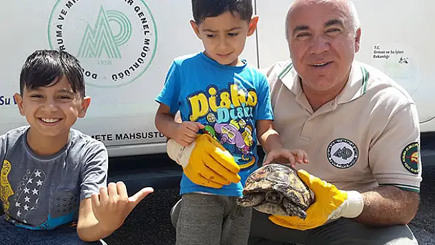 Konya'da yaralı kaplumbağa tedaviye alındı
