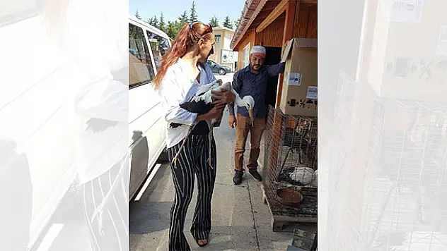Konya'da yaralı leylek koruma altına alındı