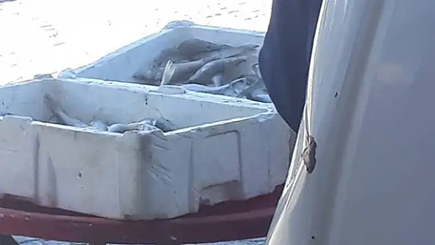 Konya'da yasa dışı balık avına ceza