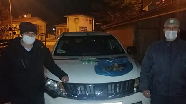 Konya'da yasa dışı ördek avlayan kişi yakalandı
