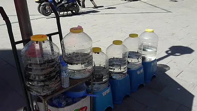 Konya'da yasa dışı sülük satışına 13 bin lira ceza