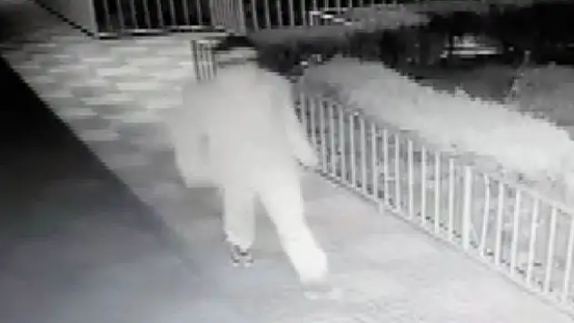 Konya'da yaşandı! Şaşkın hırsız kamerayı kırdığını zannetti, kendisini kayda aldı