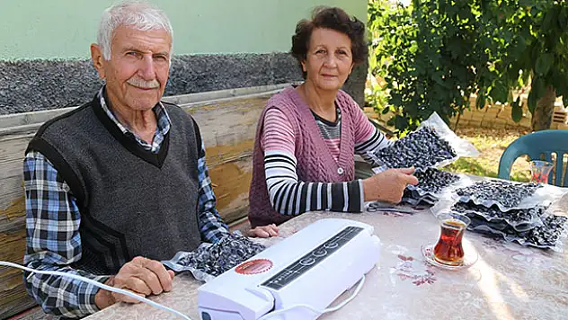 Konya'da yaşayan çift 'hasarlı kirazları' kurutarak ekonomiye kazandırıyorlar