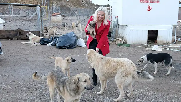 Konya'da yaşayan hayvansever 500'e yakın köpek ve kediyi besliyor

