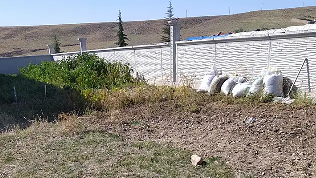 Konya'da yaşlı çift yedikleri mantardan zehirlendi
