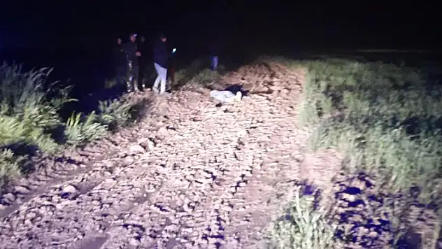Konya'da yaylada üzerine yıldırım düşen kişi öldü, 1 kişi yaralandı
