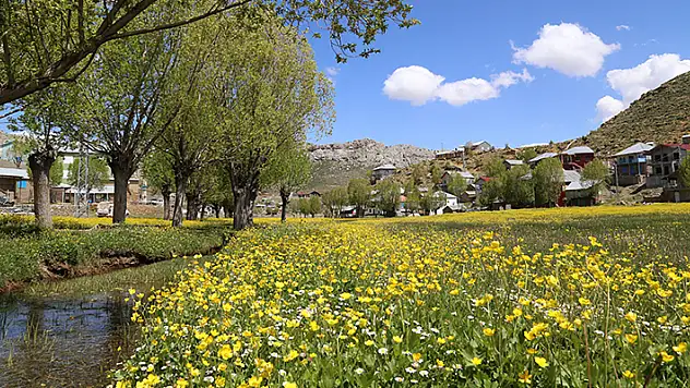 Konya'da yaylalar baharın tüm güzelliklerini sunuyor