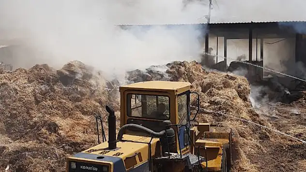 Konya'da yem bitkilerinin olduğu çiftlikte yangın
