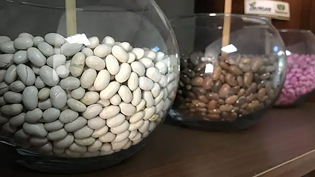 Konya'da yerli tohum üretiminde rekor artış
