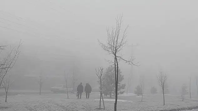 Konya'da yoğun sis