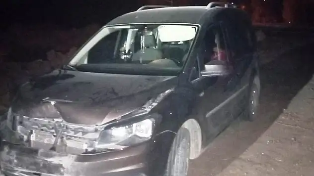 Konya'da yola çıkan domuza çarpan hafif ticari araçta hasar oluştu
