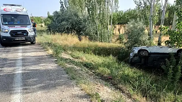 Konya'da yola çıkan köpek kazaya sebep oldu: 1 yaralı
