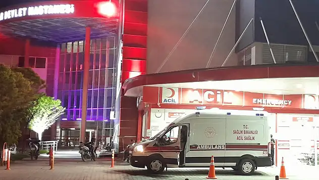 Konya'da yola fırlayan köpek kazaya neden oldu