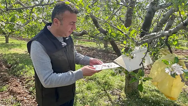 Konya'da zararlılar kameralı tuzak sistemi ile takip edilecek
