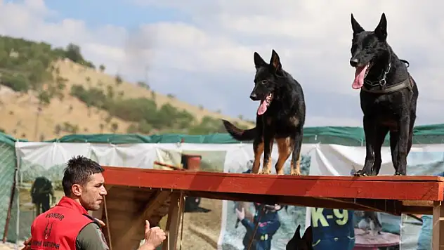 Konya'da zorlu branşlarda eğitilen köpekler, birçok alanda hizmete hazırlanıyor