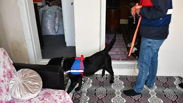 Konya dahil 5 ilde kaçakçılık operasyonu düzenlendi: 57 gözaltı

