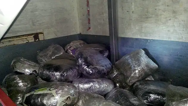 Konya'daki 308 Kilo Esrar Sevkiyatına Tutuklama