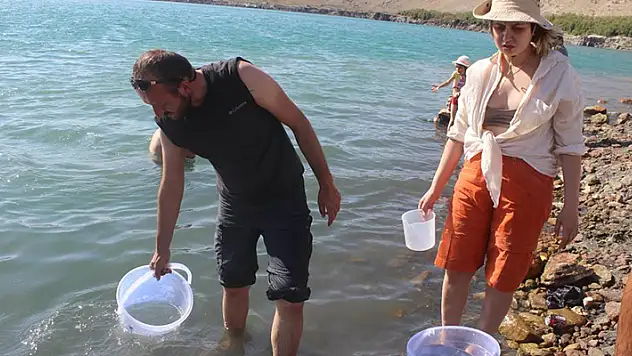 Konya'daki Acıgöl'de yaşayan tuzla karidesi deney için incelemeye alındı
