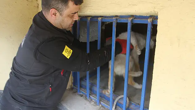 Konya'daki ekiplerin nefes kesen kedi mesaisi