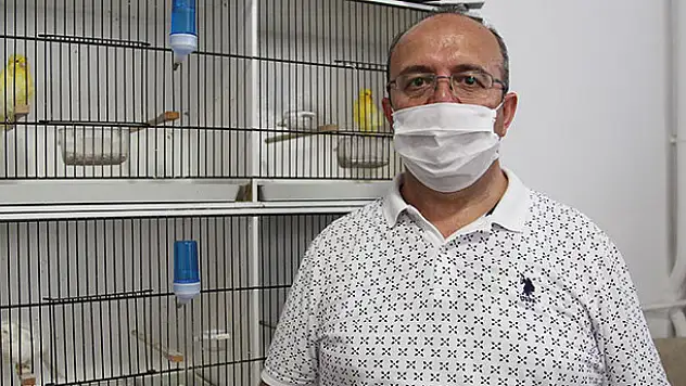 Konya'daki kanarya üreticileri yarışma salonu istiyor