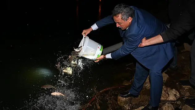 Konya'daki Kuğulu Tabiat Parkı'na 1 milyon 300 bin yavru sazan balığı bırakıldı