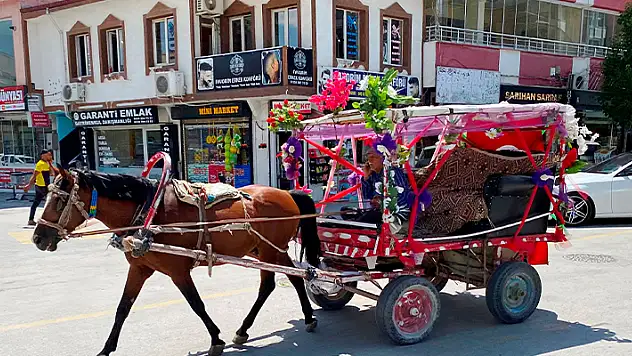 Konya'daki nostaljik at arabası, düğün ve sünnetlerde gezi keyfi ile ilgi görüyor
