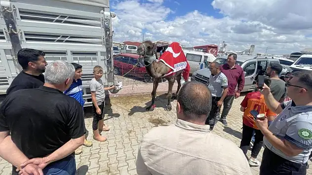 Konya'daki pazarda gören dönüp bir daha baktı