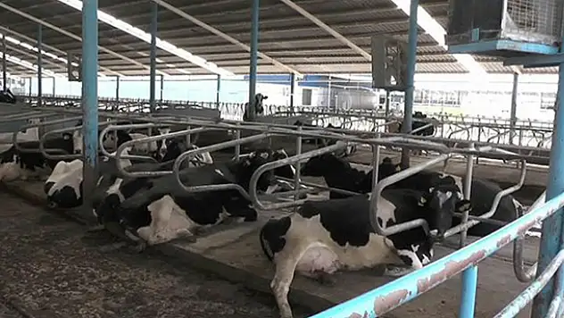 Konya'daki 'Sütbank' davasının sanığı şirket yetkilisi 2 kişi beraat etti