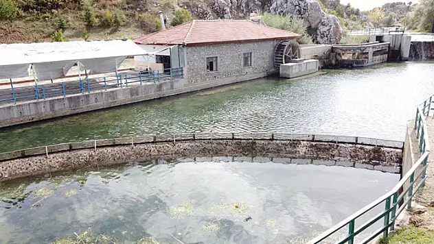 Konya'daki tarihi su değirmeninin çarkları artık dönmüyor