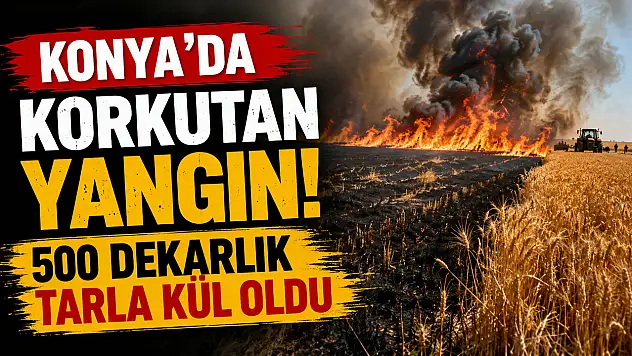 Konya'daki tarla yangını paniğe neden oldu