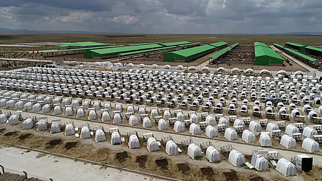 Konya'daki TİGEM Gözlü'den günde 37 ton süt üretimiyle ekonomiye katkı