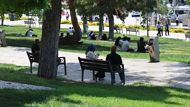 Konya'daki uzman uyardı: Yazla birlikte ölümcül risk kapıda!