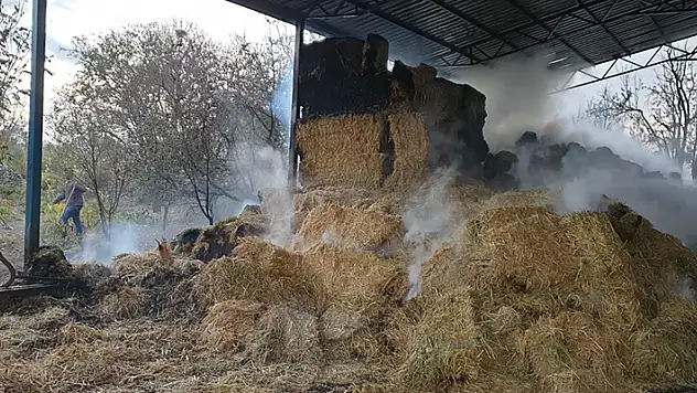 Konya'daki yangında 30 ton saman yandı
