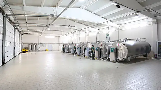 Konya'dan AB ülkelerine günlük 25 ton süt gidiyor