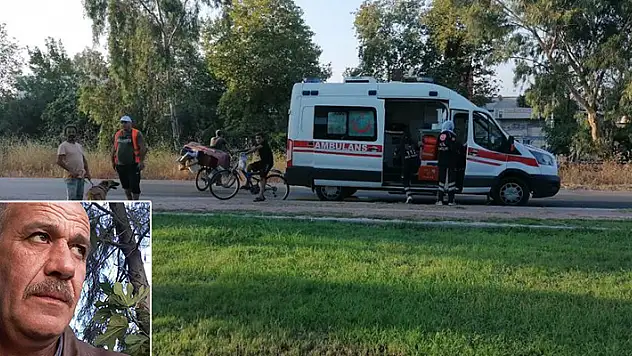 Konya'dan Antalya'da yaşayan kardeşinin yanına gitmişti! Otluk alanda köpek tarafından  cesedi bulundu