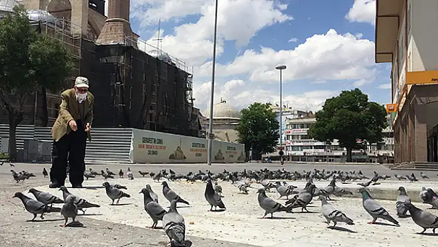 Konya'dan içinizi ısıtacak kareler... Cemal dedenin pazar günleri güvercin yemlemekle geçiyor