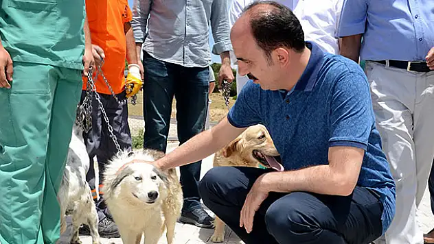 Konya'dan Türkiye'ye örnek proje!