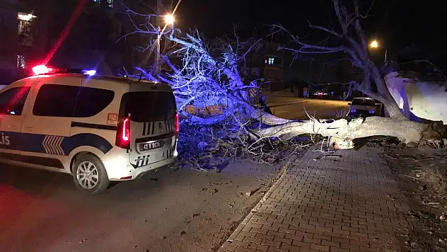 Konya Ereğli'de ağaçlar devrildi, çatılar uçtu