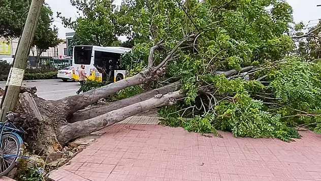 Konya, felaketi yaşadı! Ağaçlar devrildi, yangınlar çıktı, camlar patladı