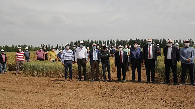 Konya Gıda ve Tarım Üniversitesi yerli ve milli buğday ıslahında sona geldi

