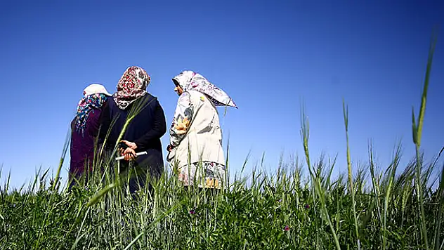 Konya-Karaman havzasında 79 bin hektarlık alan ekonomiye kazandırıldı