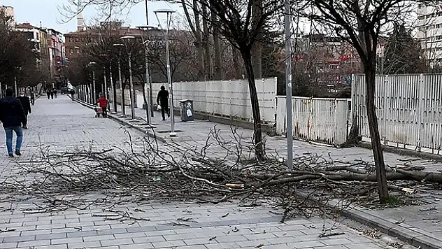 Konya, Karaman, Niğde ve Aksaray'da yaşayanlar dikkat! Meteoroloji'den Doğu Anadolu ve İç Anadolu için kuvvetli rüzgar ve fırtına uyarısı